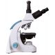 Microscopio Trinocular Levenhuk 900T