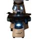 Microscopio Binocular Levenhuk 400B