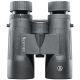 Prismatico Bushnell New Legend 10x42