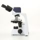 Microscopio Binocular Digital Euromex bScope 1157EPLi