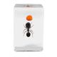 Kit Celestron de 4 Insectos 3D para Microscopía (Kit 5)