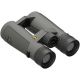 Prismático Leupold BX-5 Santiam HD - 10x42