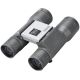 Prismatico Bushnell PowerView II 16x32