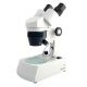 Lupa Binocular BMS ST-40-B-2L