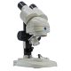 Lupa Binocular BMS S-05-L