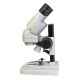 Lupa Binocular BMS S-05-L
