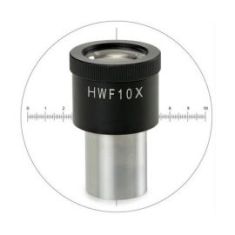 Ocular micrométrico Euromex HWF 10x/20 con retícula en cruz