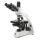 Microscopio Trinocular Euromex bScope 1153 PLPHi de Contraste de Fase