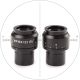Ocular Micrométrico Euromex HWF 10x/22 con Retícula