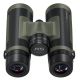 Prismatico Bushnell R5 10x42
