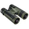 Prismatico Bushnell R5 10x42