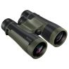 Prismatico Bushnell R5 12x50