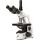Microscopio Trinocular Euromex BlueScope BL1153 40-1000x