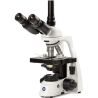 Microscopio Trinocular Euromex BlueScope BL1153 40-1000x