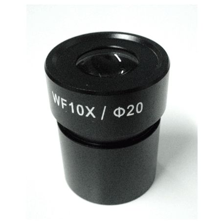 Energizar Húmedo Destello Objetivos, oculares y lentes para microscopios y lupas binoculares - Amaina Energizar Húmedo Destello Objetivos, oculares y lentes para microscopios y lupas binoculares - Amaina