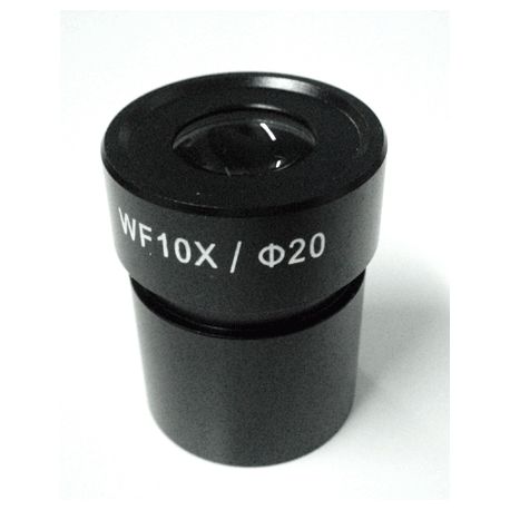 Ocular Micrometrico Reticulado NOVEX WF 10X (diámetro 30.5)