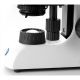 Microscopio Binocular EUROMEX BioBlue 1000X