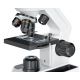 Microscopio Monocular Bresser Biolux Advance 20-400x con Cámara Integrada