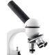 Microscopio Monocular Ultralyt 40x/100x/400x