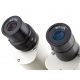 Lupa Binocular Ultralyt LED (20-40 Aumentos)