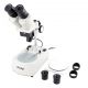 Lupa Binocular Ultralyt LED (20-40 Aumentos)