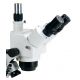 Lupa Trinocular Ultralyt M-41000 - Zoom 10x a 40x continuo