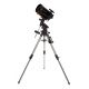 Telescopio Celestron Advanced VX SCT 8