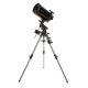 Telescopio Celestron Advanced VX SCT 925 (AVX925-12046)