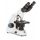 Microscopio binocular acromático Euromex MicroBlue 1152 40x-1000x