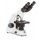 Microscopio binocular acromático Euromex MicroBlue 1652 40x-600x