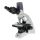 Microscopio Euromex BioBlue 4267 - Cámara integrada 5Mpx