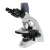 Microscopio Euromex BioBlue 4267 - Cámara integrada 5Mpx