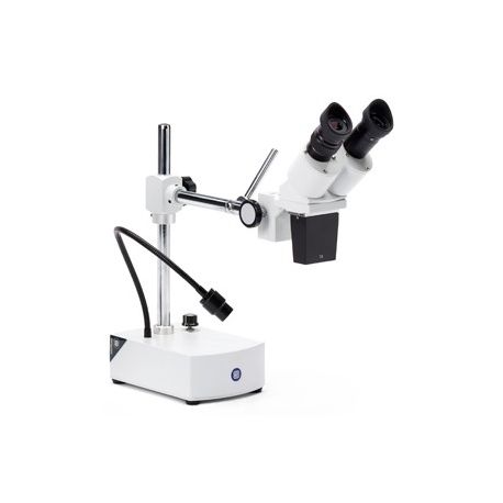 Lupa binocular estereoscópica Euromex BE-50 LED