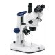 Lupa Trinocular Euromex StereoBlue SB1903 - Zoom variable