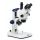 Lupa trinocular Euromex StereoBlue SB1903 - Zoom variable