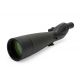Telescopio terrestre de visión recta Celestron TrailSeeker 100