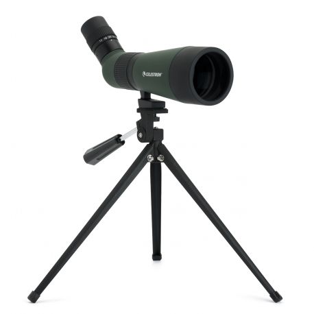 Telescopio terrestre Celestron LandScout 12-36x 60 mm