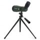 Telescopio terrestre Celestron LandScout 12-36x 60 mm