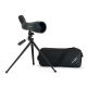 Telescopio terrestre Celestron LandScout 12-36x 60 mm