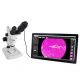 Ocular USB Kopa DM800 de 8Mpx para microscopio y lupa binocular