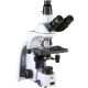 Microscopio Trinocular de Campo Oscuro Euromex iScope 1153 PLi