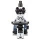 Microscopio Trinocular de Campo Oscuro Euromex iScope 1153 PLi