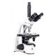 Microscopio Trinocular Euromex bScope 1153EPL 40-1000x