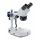 Lupa binocular Euromex EduBlue 1302P - 10x y 30x