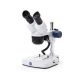 Lupa binocular Euromex EduBlue 1302P - 10x y 30x