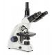 Microscopio Trinocular Euromex MicroBlue 40-600x