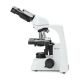Microscopio Binocular Euromex bScope 1153EPL 40-1000x