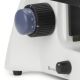 Microscopio Digital Euromex MicroBlue 40-400x MB1051-LCD