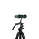 Prismáticos Celestron Outland X 10x42 (Verdes)