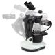 Microscopio Euromex NexiusZoom GEM para Gemología (Configurable)